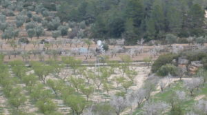 Masía de piedra en Masalsinas, Calaceite en oferta con frutales