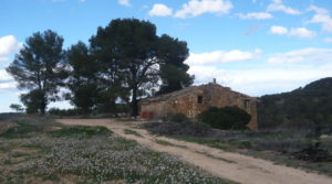 Foto de Masía de piedra en Masalsinas, Calaceite con frutales