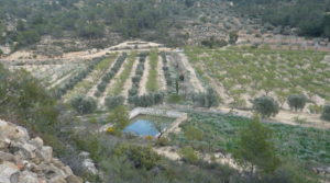 Detalle de Masía de piedra en Masalsinas, Calaceite con pastos y pinares. por 79000€€