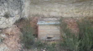 Masía de piedra en Masalsinas, Calaceite en oferta con olivos por 79000€€