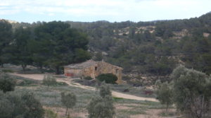 Foto de Masía de piedra en Masalsinas, Calaceite con almendros