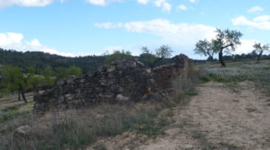 Masía de piedra en Masalsinas, Calaceite a buen precio con olivos por 79000€€