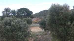 Masía de piedra en Masalsinas, Calaceite para vender con pastos y pinares.