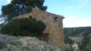 Foto de Masía de piedra en Masalsinas, Calaceite con pastos y pinares.