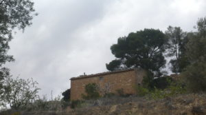 Vendemos Masía de piedra en Masalsinas, Calaceite con pastos y pinares.