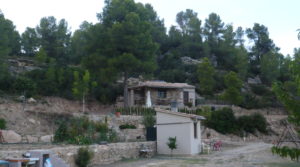 Foto de Masia en Valdeltormo con olivos y frutales