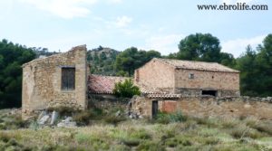 Finca de almendros en Maella a buen precio con almendros