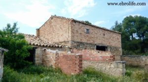 Foto de Finca de almendros en Maella en venta con almendros