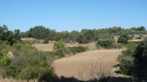 Foto de Finca rústica en Cretas en venta con masía por 500.000€