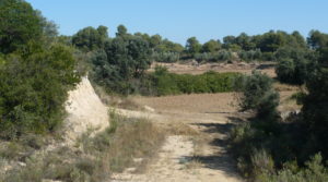 Finca rústica en Cretas en venta con olivos