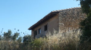 Foto de Finca rústica en Cretas con finca trufera ecológica