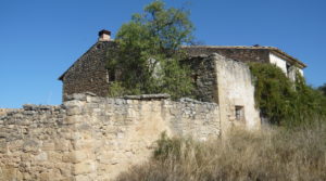 Foto de Finca rústica en Cretas con finca trufera ecológica