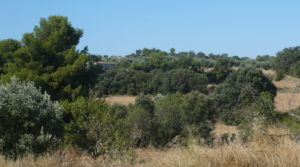 Foto de Finca rústica en Cretas con almacén