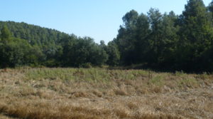 Detalle de Finca rústica en Cretas con almacén