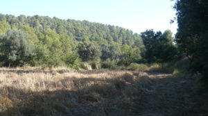 Vendemos Finca rústica en Cretas con agua por 500.000€