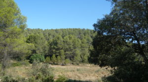 Finca rústica en Cretas para vender con agua por 500.000€