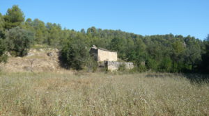 Foto de Finca rústica en Cretas con pinares