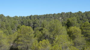 Foto de Finca rústica en Cretas en venta con almacén