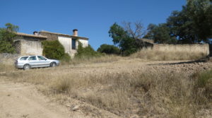 Detalle de Finca rústica en Cretas con olivos por 500.000€