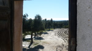 Olivar en Calaceite con masía típica tradicional en oferta con buen acceso