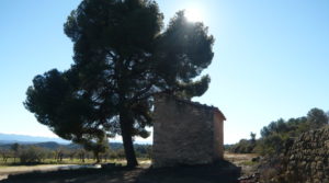 Olivar en Calaceite con masía típica tradicional en oferta con olivos y almendros por 60.000€