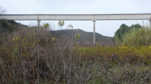 Finca en La Huerta de Caspe para vender con cerezos por 40.000€