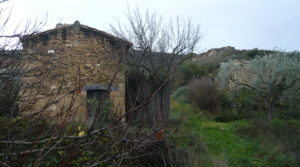 Finca en La Huerta de Caspe para vender con melocotoneros