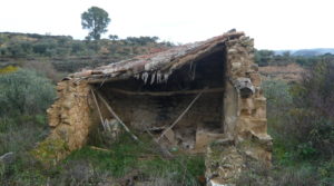 Foto de Finca en La Huerta de Caspe con olivos