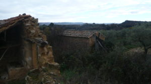 Vendemos Finca en La Huerta de Caspe con cerezos