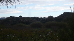 Foto de Finca en La Huerta de Caspe con cerezos