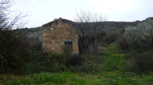 Finca en La Huerta de Caspe en venta con cerezos por 40.000€