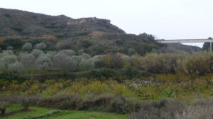 Vendemos Finca en La Huerta de Caspe con melocotoneros