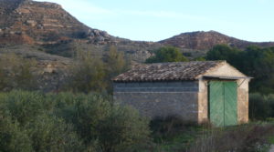 Finca de regadío en Caspe para vender con regadío por 47.000€