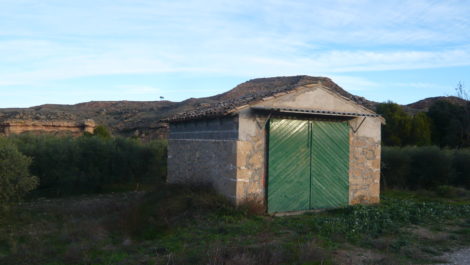 Finca de regadío en Caspe