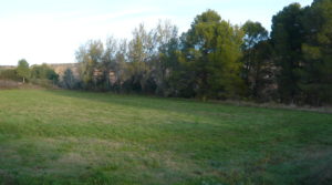 Foto de Finca de regadío en Caspe con regadío por 47.000€