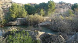 Foto de Finca de regadío en Caspe en venta con regadío