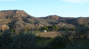 Vendemos Finca de regadío en Caspe con zona de pesca