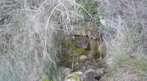 Finca de regadío en Caspe a buen precio con masías de piedra