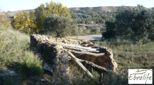 Huerto en Caspe de olivos autóctonos con zona de pesca en venta con olivos autóctonos por 7.000€