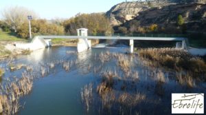 Foto de Huerto en Caspe de olivos autóctonos con zona de pesca en venta con olivos autóctonos por 7.000€