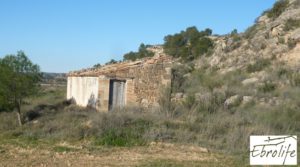 Se vende Finca de regadío en Caspe. con regadío