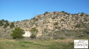 Finca de regadío en Caspe. a buen precio con regadío