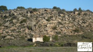 Finca de regadío en Caspe. para vender con regadío