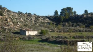 Foto de Finca de regadío en Caspe. en venta con regadío por 40.000€