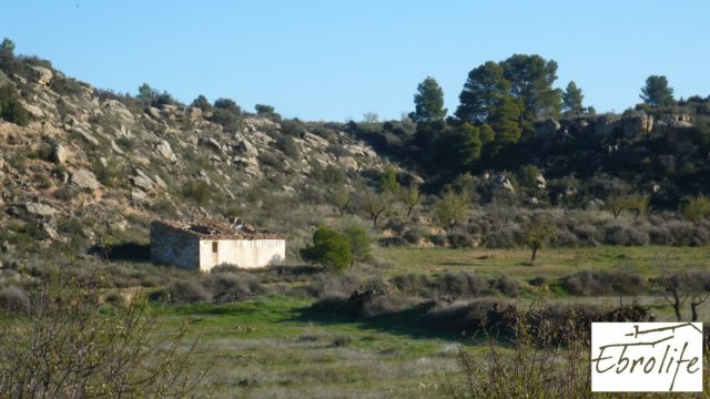 Finca de regadío en Caspe.