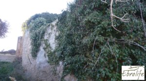 Foto de Huerto y Masía de dos plantas en Maella con desagüe