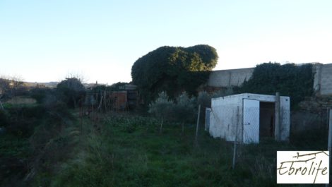 Huerto y Masía de dos plantas en Maella