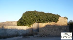 Se vende Huerto y Masía de dos plantas en Maella con electricidad