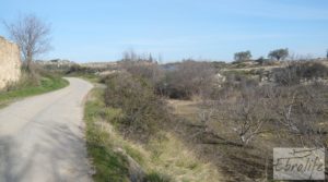 Detalle de Finca en la huerta de Caspe con masía de piedra. con olivos por 19.000€