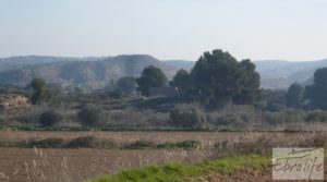 Finca en la huerta de Caspe con masía de piedra. para vender con ciruelos